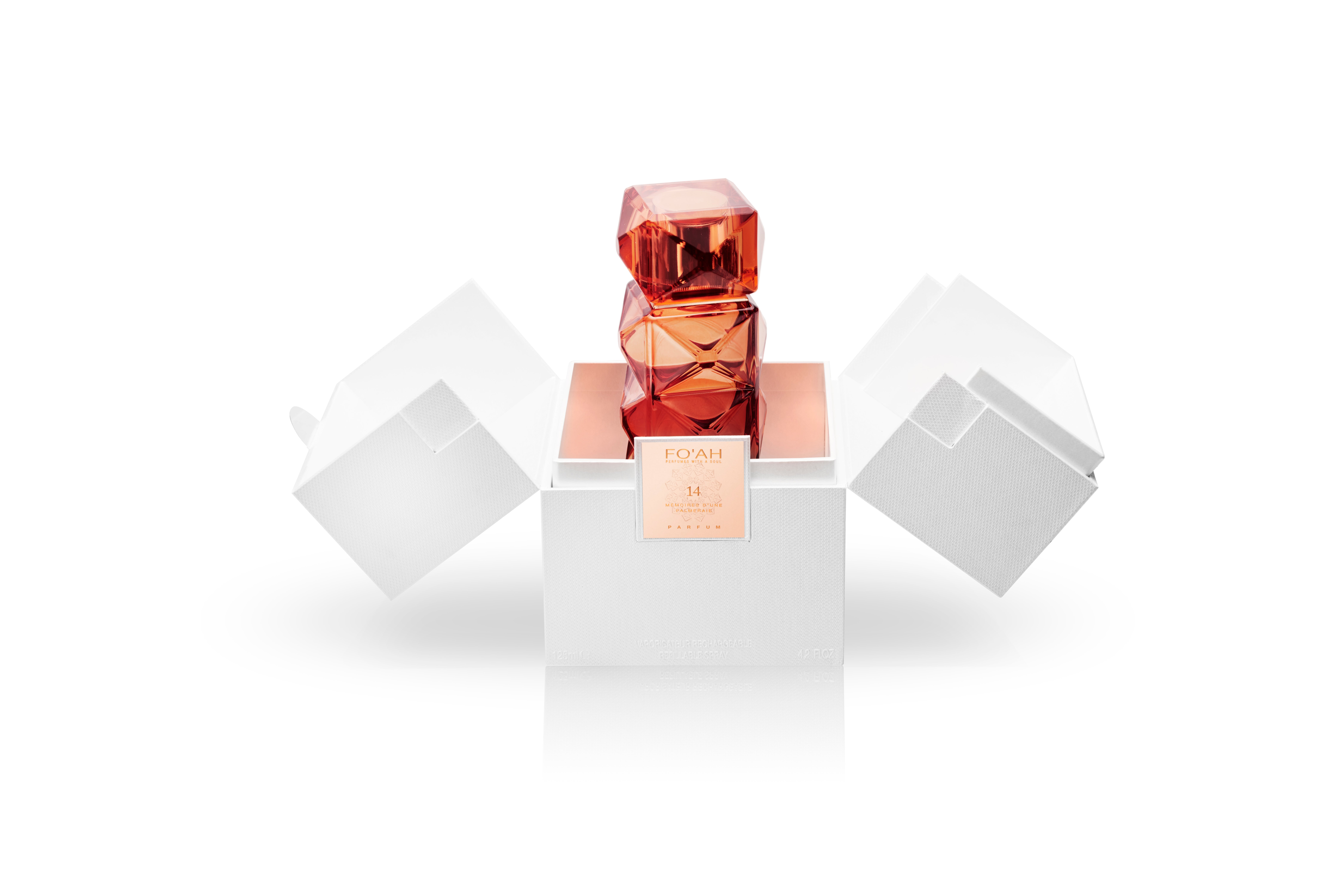 foah-14-boite-plonge-vp