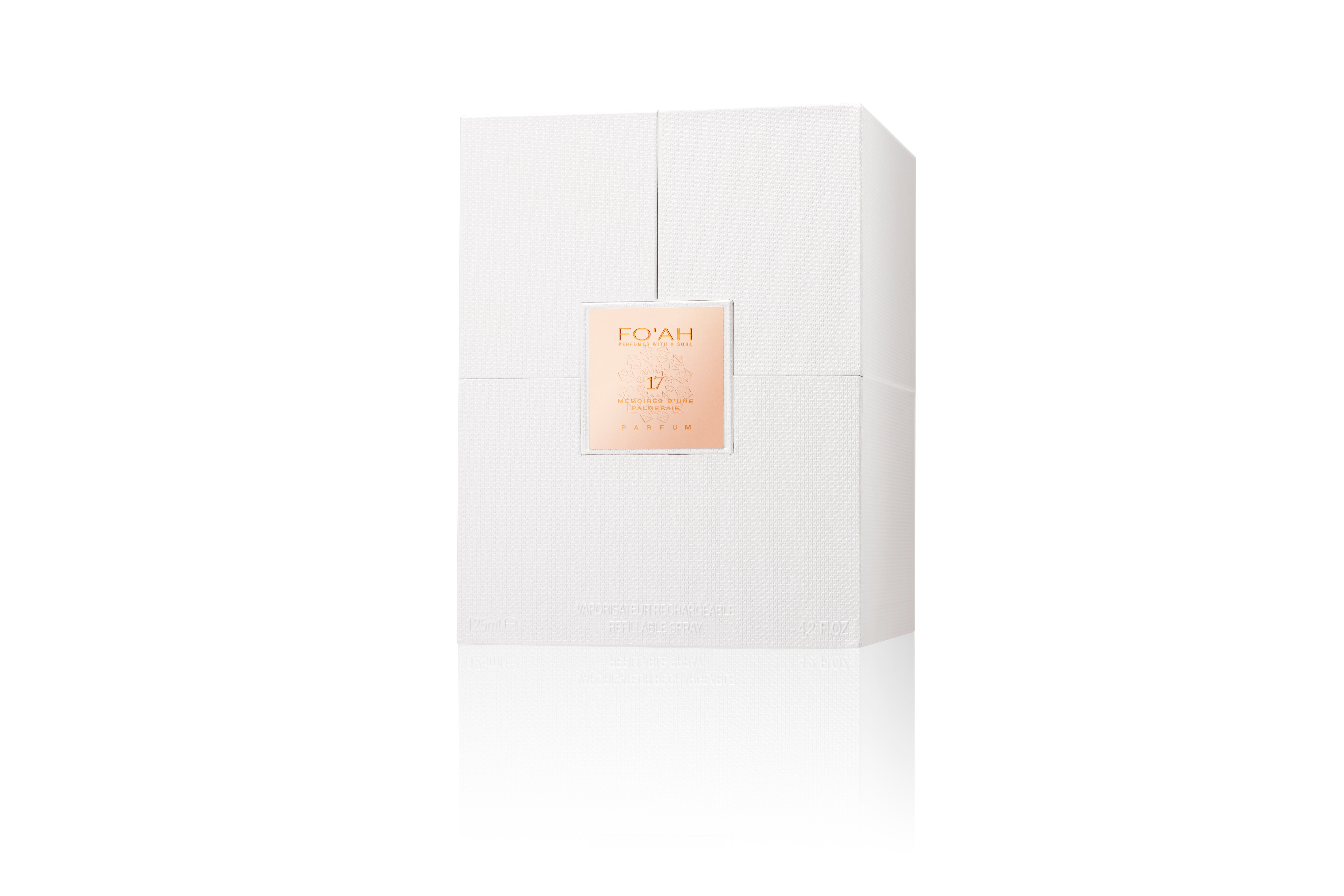 17 - Mémoires d'une palmeraie