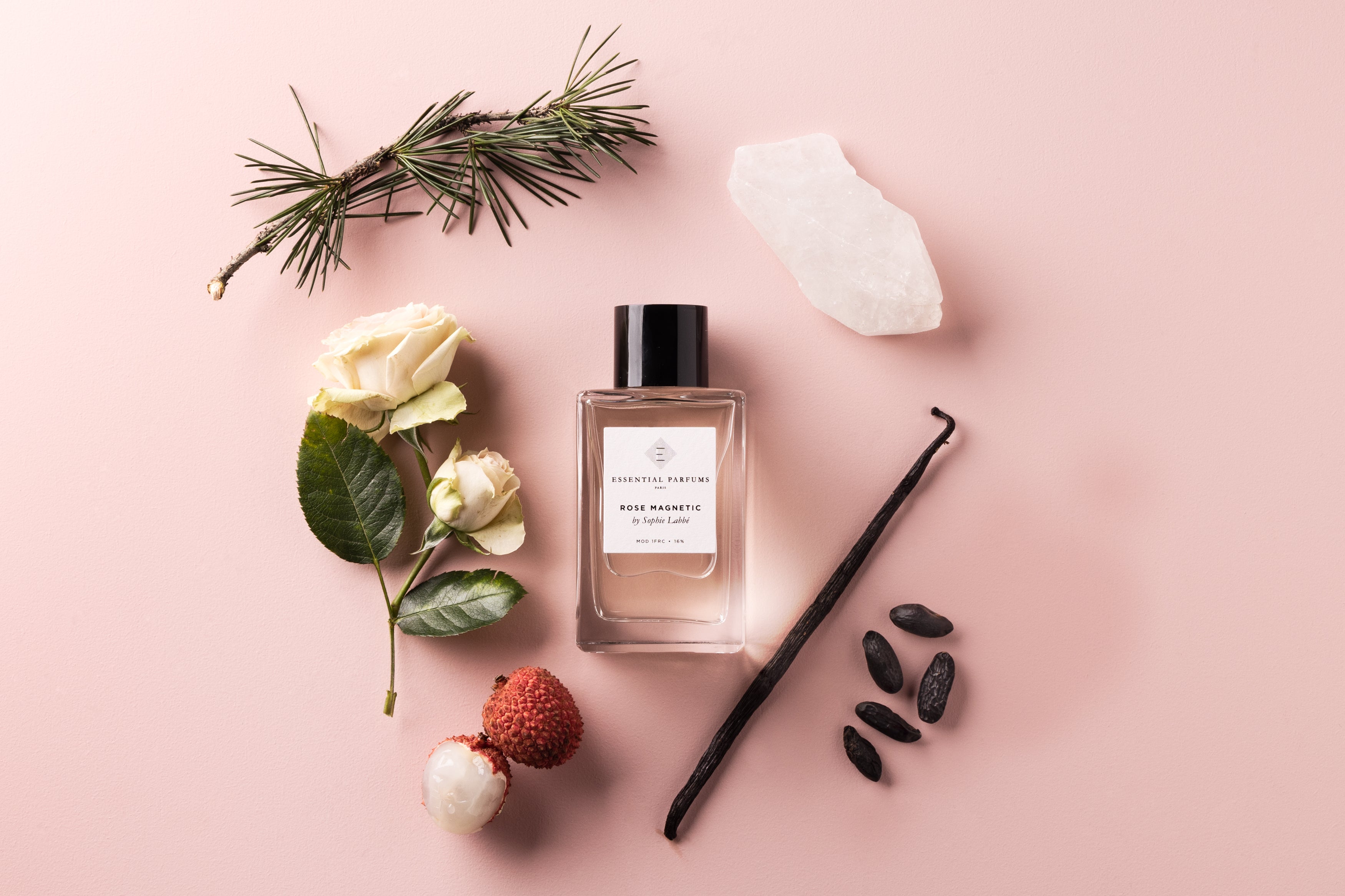 ROSE MAGNETIC by Sophie Labbé ROSE MAGNETIC by Sophie Labbé