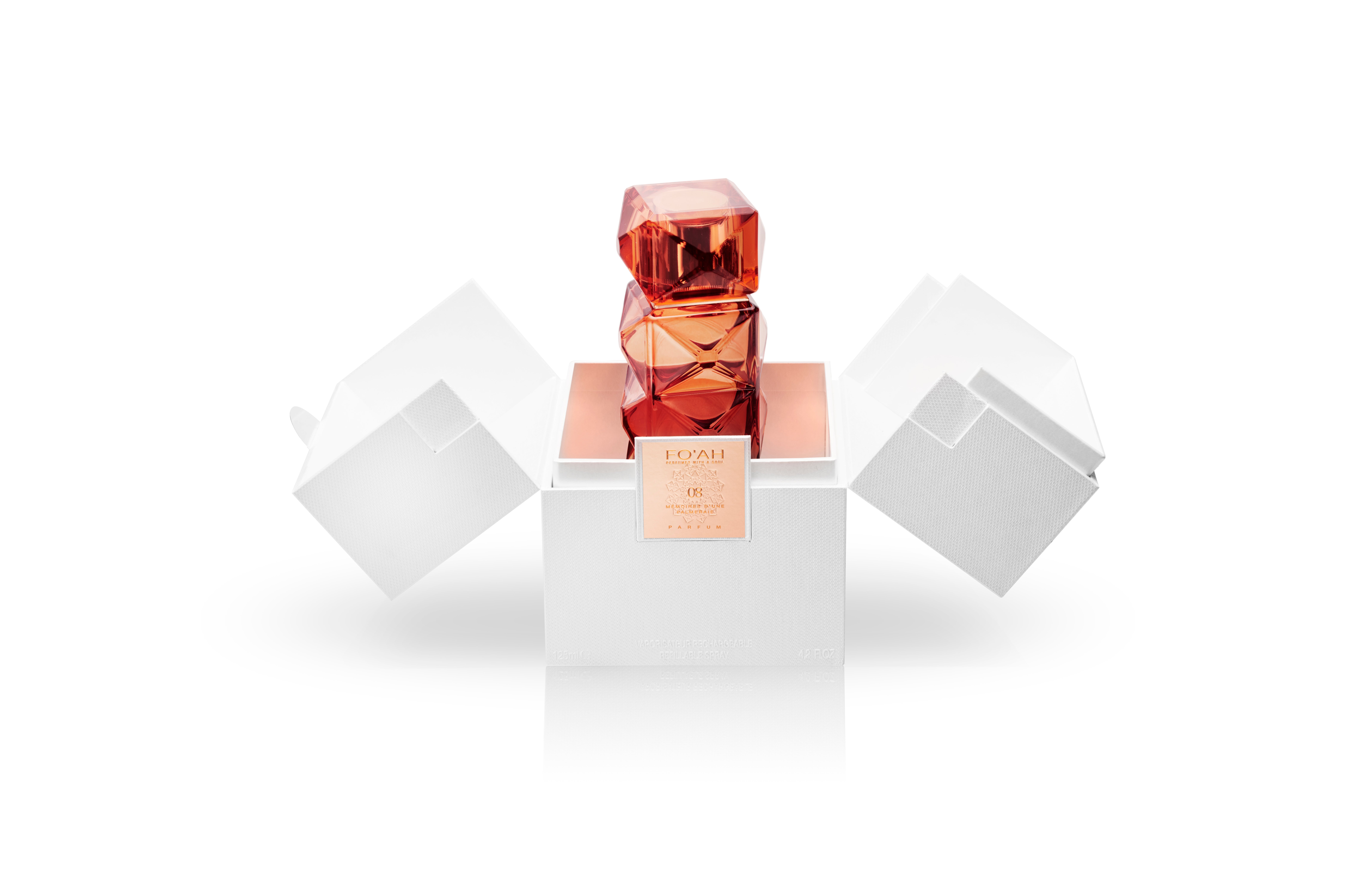 foah-08-boite-plonge-vp 08 - Memoires d’une Palmeraie