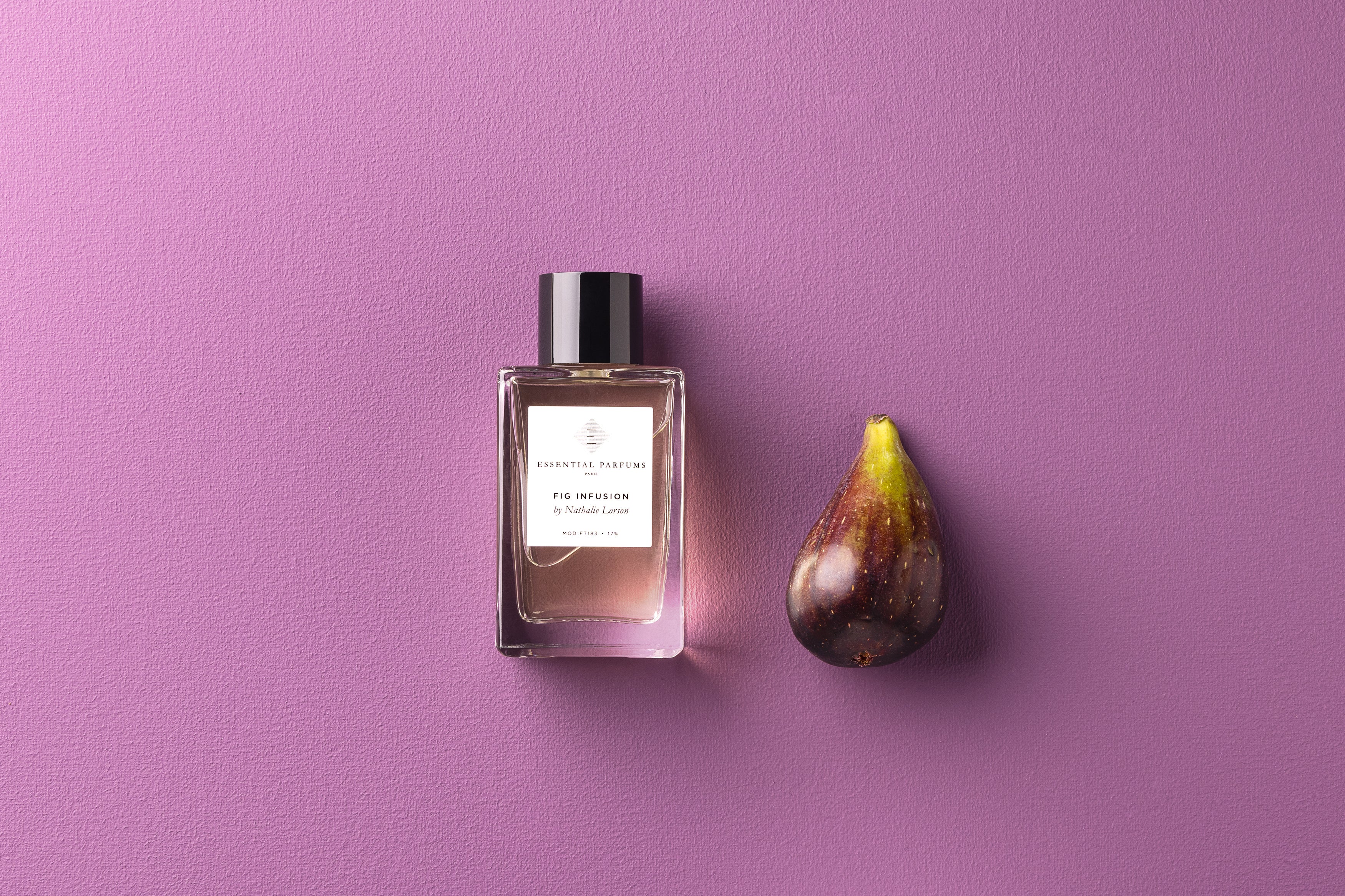 FIG INFUSION by Nathalie Lorson