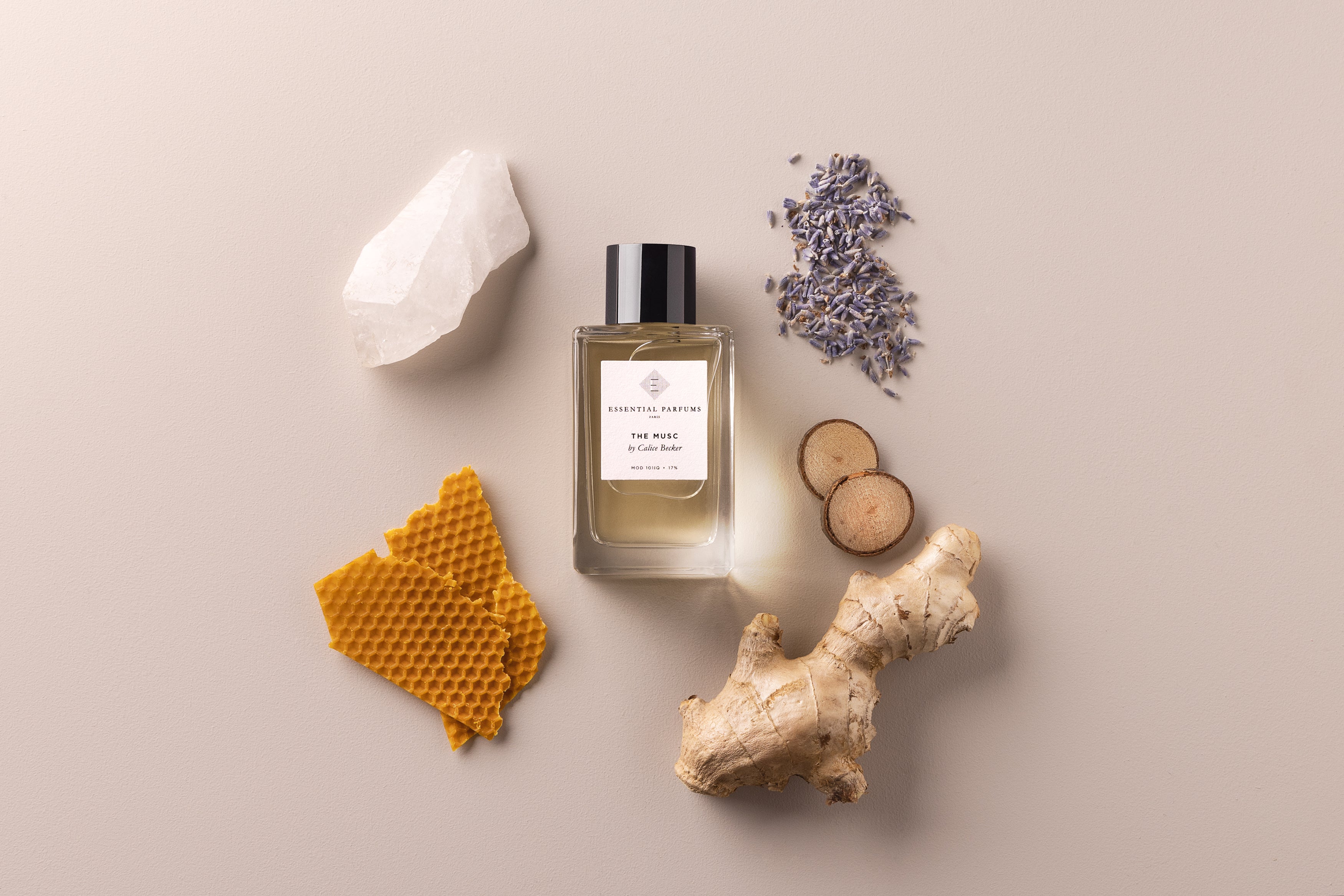 THE MUSC by Calice Becker THE MUSC by Calice Becker